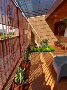 La Rosa Apart - Madrejón