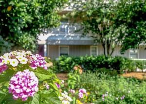 Beachwood Villas #9E - Sandy Cheeks