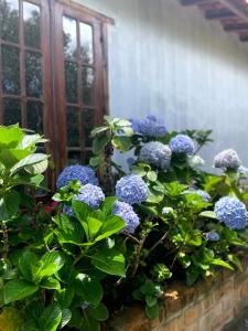 Casa Mirante do Capão