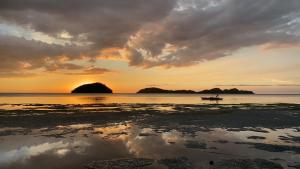 Amila Dive Beach Resort