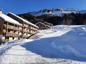 Appartements Appartement Les Avanchers-Valmorel, 2 pieces, 4 personnes - FR-1-291-867 : Appartement (4 Adultes)