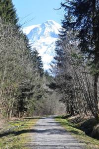 Appartements 2 bedroom Apartment in Les Houches Stone's throw from Prairon lift : photos des chambres