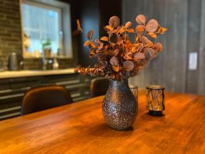 Modern Stuga med Ski Lodge känsla