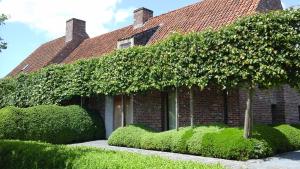B&B De Hulst