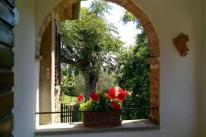 Appartamento in Agriturismo & Piscina panoramica