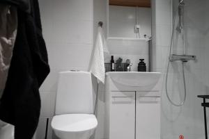 Tyylikäs hyvin varusteltu asunto. Oma autopaikka.