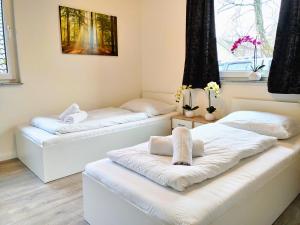 Apartment for 6 guests