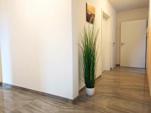 Apartment for 6 guests