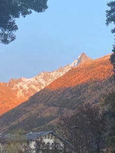 Appartements Chamonix - Majestic vue Mont Blanc : photos des chambres