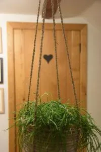 la Bodangeoise gîte rural - 福维莱尔斯