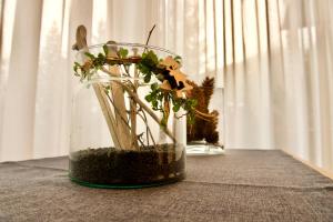 Haus Allegra Panorama