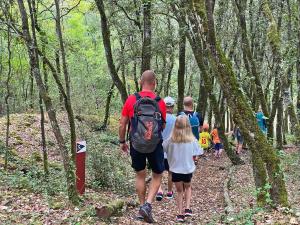 Lodges Hameau Du Sentier Des Sources : photos des chambres