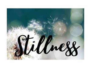 Stillness- Connect to the Nature in the Hot Tub