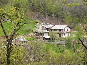 Residence Joy Center - Bobbio Pellice