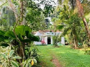 House Colonial - Devinuwara