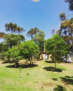 Cabanas dos Pinheiros