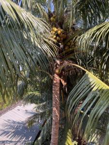 RIVER VIEW HOME STAY SERVICE APARTMENT