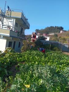Nagarkot Nayagaun Homestay