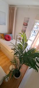 Apartment in Jupiter 5 pools