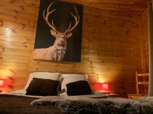 Chalets Chalet Martine : photos des chambres