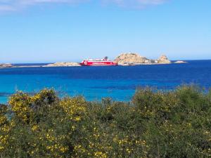 Appartements MONTICELLO - L'ILE-ROUSSE APPARTEMENT BORD DE MER 3 Pieces 4 Personnes : photos des chambres