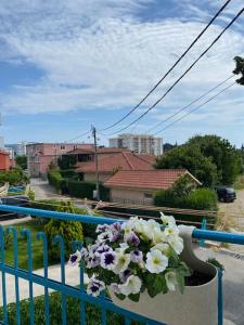 Apartments Rux de Luxe