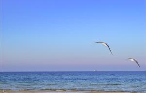 Stunning Home In Jezierzany With Sauna