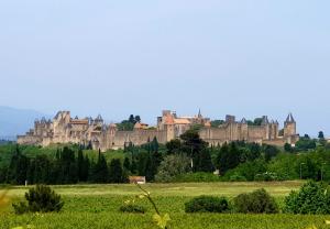 Maisons de vacances Beautiful studio surrounded by nature : photos des chambres