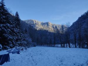 Chalets Chalet 8 personnes + grand terrain et riviere : photos des chambres
