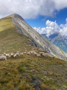 Maisons de vacances Villa individuelle au coeur du Parc des Ecrins : photos des chambres