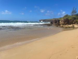 Honu Hee Nalu - The Surfing Turtle - Ocean & Beachfront! Stunning Views!