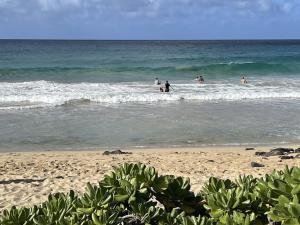 Honu Hee Nalu - The Surfing Turtle - Ocean & Beachfront! Stunning Views!