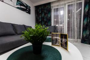 Zielony Apartament Gliwice - 3hvězdičkové hotely ve městě Hlivice