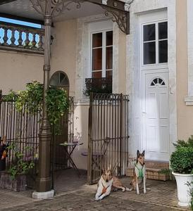 B&B / Chambres d'hotes Au Jardin des Deux Ponts : photos des chambres