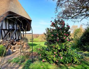 Maisons de vacances Chaumiere Normande Djalelo proche Honfleur : photos des chambres