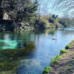 Canal view 2 bedrooms end of terrace - Ubytování bez kategorie ve městě Chichester