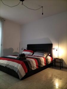 Queen apartment al Palazzetto