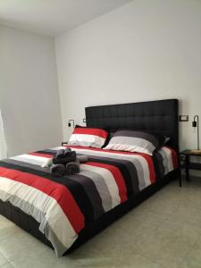 Queen apartment al Palazzetto