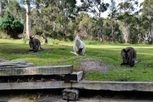 The Stone Cottage - Bruny Island