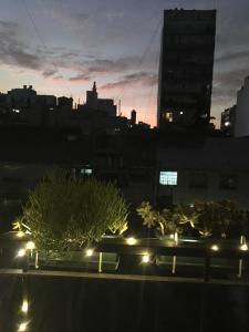 San Telmo Heart