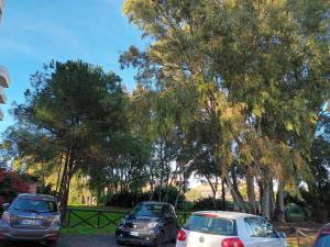 Dietro Molentargius img11