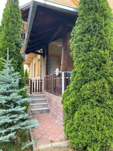 Pino Munika apartman