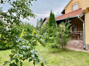 Pino Munika apartman