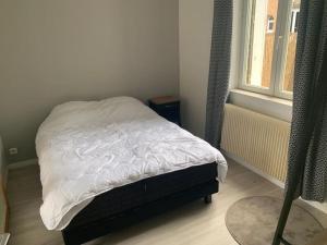 Maisons de vacances Sous le grand Cedre : photos des chambres