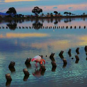 La Pirata Capitana img42