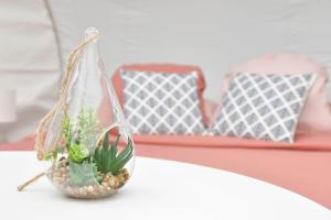 Tentes de luxe Bulle Ecureuil : photos des chambres