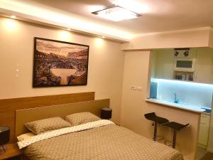 Apartment Maximus lux