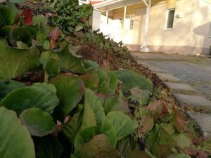 Cosy studio apartment near by Ideapark