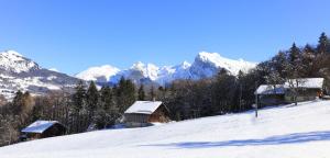 Appartements Grand Morillon - 104 - Montagne Belle Vue Studio 4 : photos des chambres