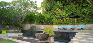 JavaCove Beach Hotel